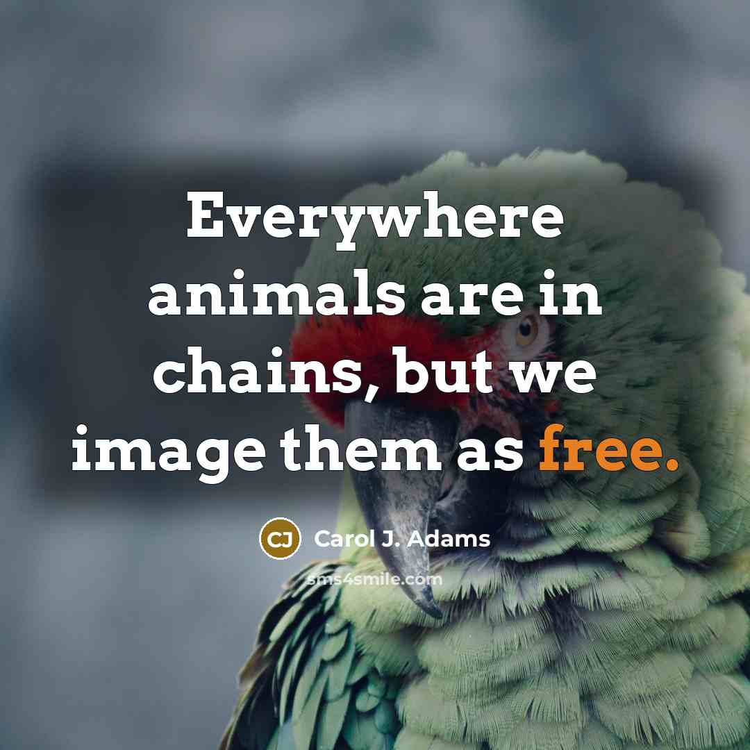 “Everywhere animals are in chains, but we image them as…” quote by Carol J. Adams