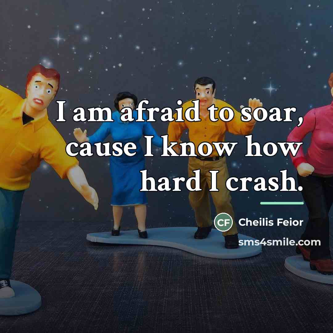 “I am afraid to soar, cause I know how hard…” quote by Cheilis Feior