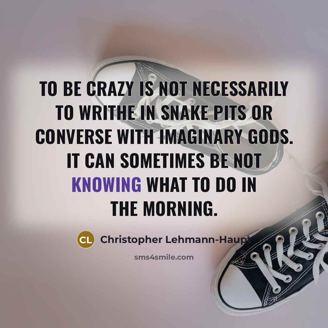 “To be crazy is not necessarily to writhe in snake…” quote by Christopher Lehmann-Haupt