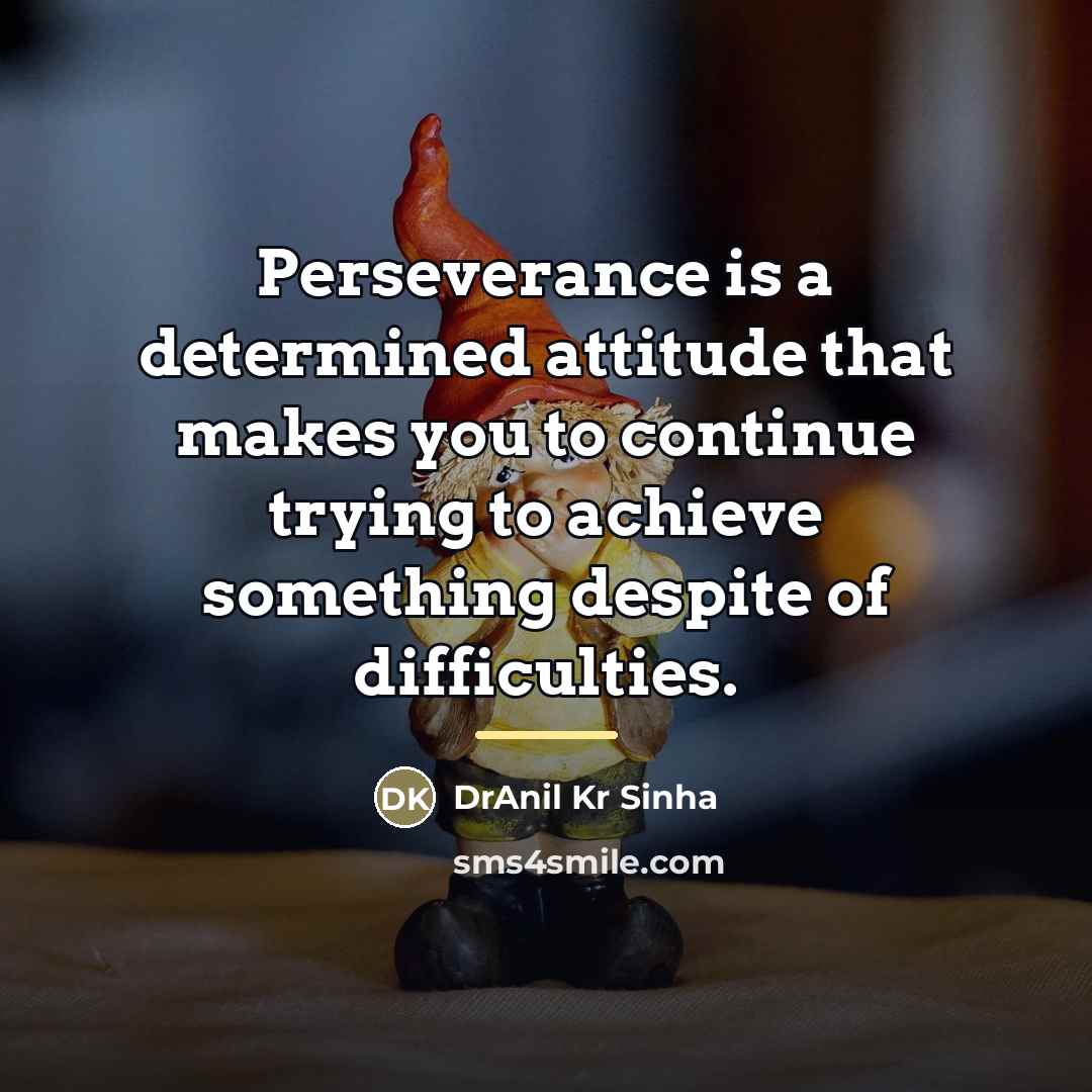 “Perseverance is a determined attitude that makes you to continue…” quote by DrAnil Kr Sinha