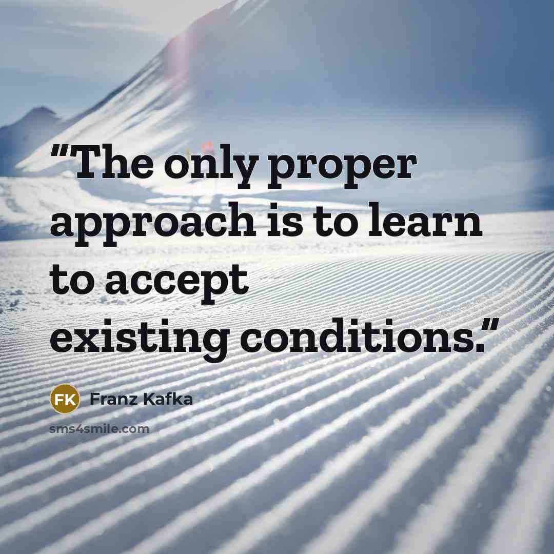 “The only proper approach is to learn to accept existing conditions.” quote by Franz Kafka
