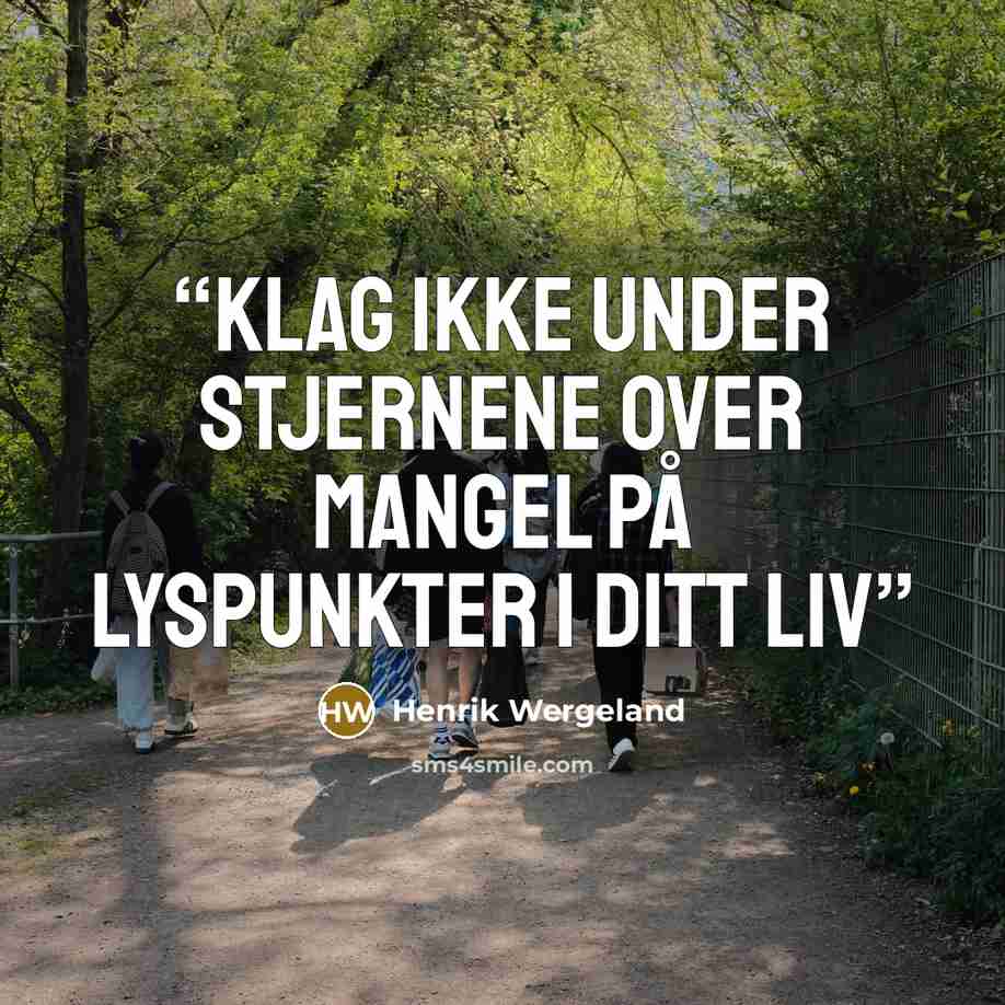 “Klag ikke under stjernene over mangel på lyspunkter i ditt liv” quote by Henrik Wergeland