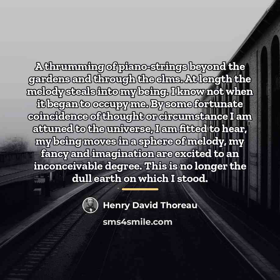 “A thrumming of piano-strings beyond the gardens and through the…” quote by Henry David Thoreau