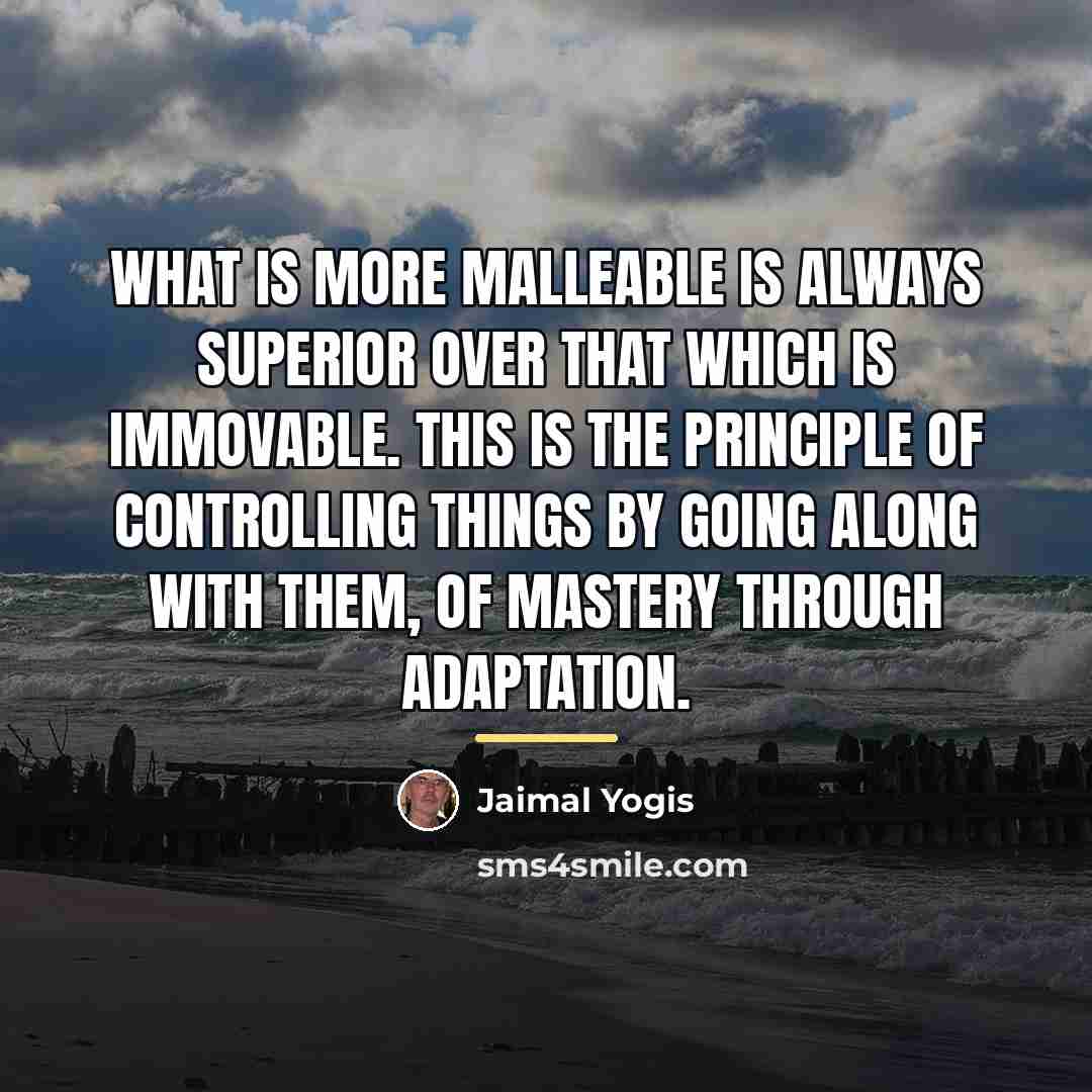 “What is more malleable is always superior over that which…” quote by Jaimal Yogis