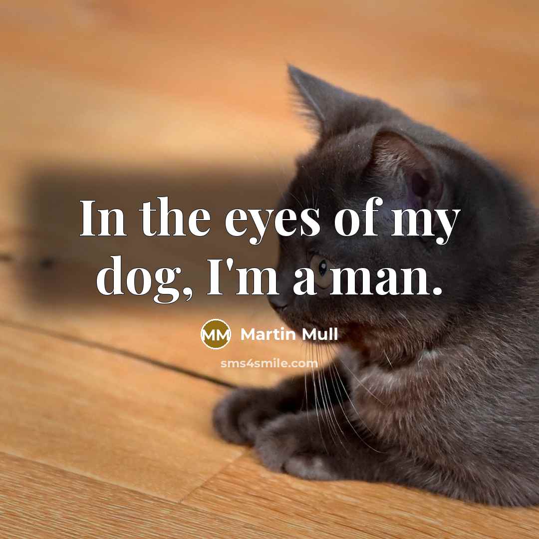 “In the eyes of my dog, I'm a man.…” quote by Martin Mull