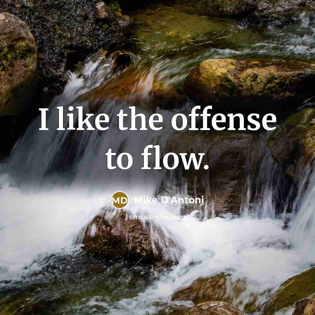 “I like the offense to flow.…” quote by Mike D'Antoni