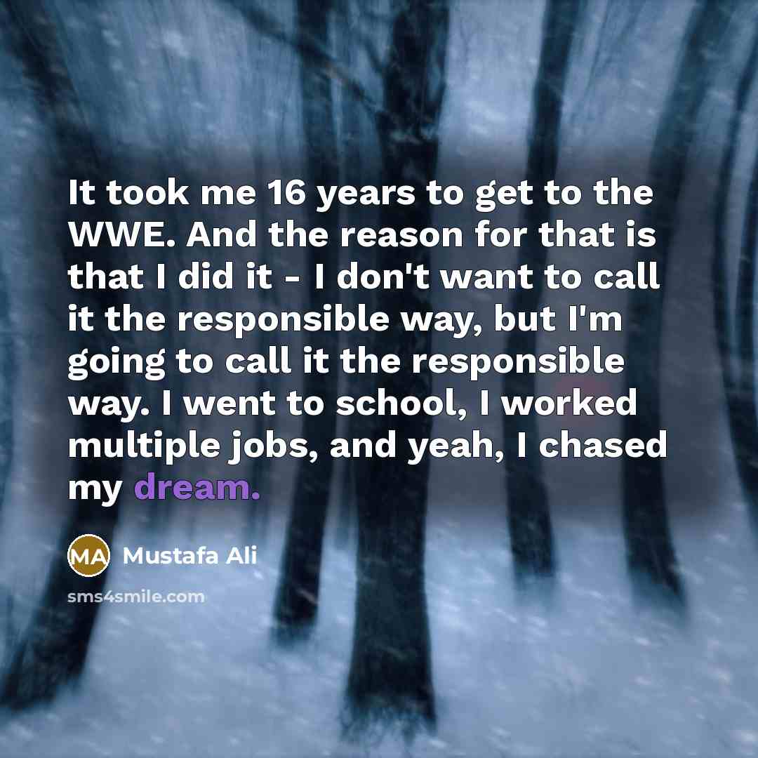 “It took me 16 years to get to the WWE.…” quote by Mustafa Ali
