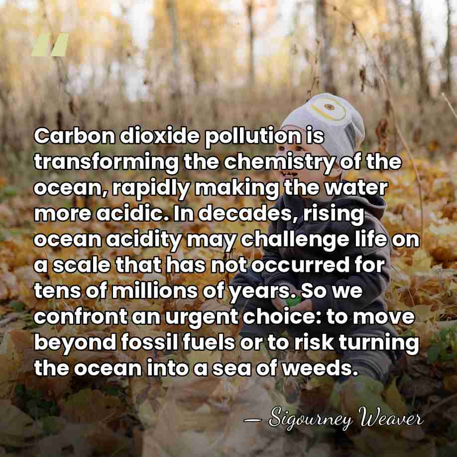 Carbon dioxide pollution is transforming the chemistry of the ocean, rapidly making&hellip; - Sigourney Weaver