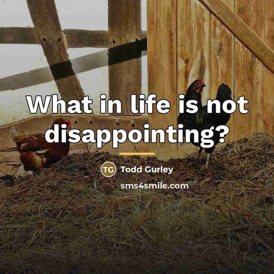 “What in life is not disappointing?…” quote by Todd Gurley