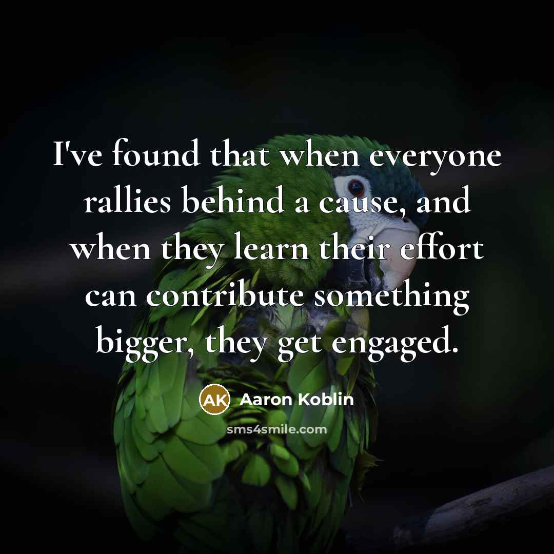 “I've found that when everyone rallies behind a cause, and…” quote by Aaron Koblin