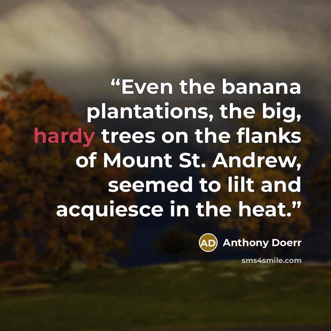 “Even the banana plantations, the big, hardy trees on the flanks of Mount St. Andrew, seemed to lilt and acquiesce in the heat.” quote by Anthony Doerr