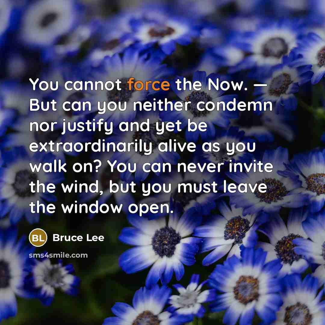 “You cannot force the Now. — But can you neither…” quote by Bruce Lee