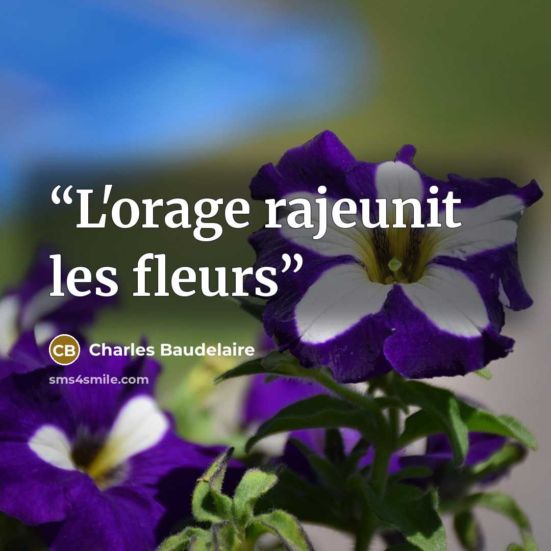 “L'orage rajeunit les fleurs” quote by Charles Baudelaire