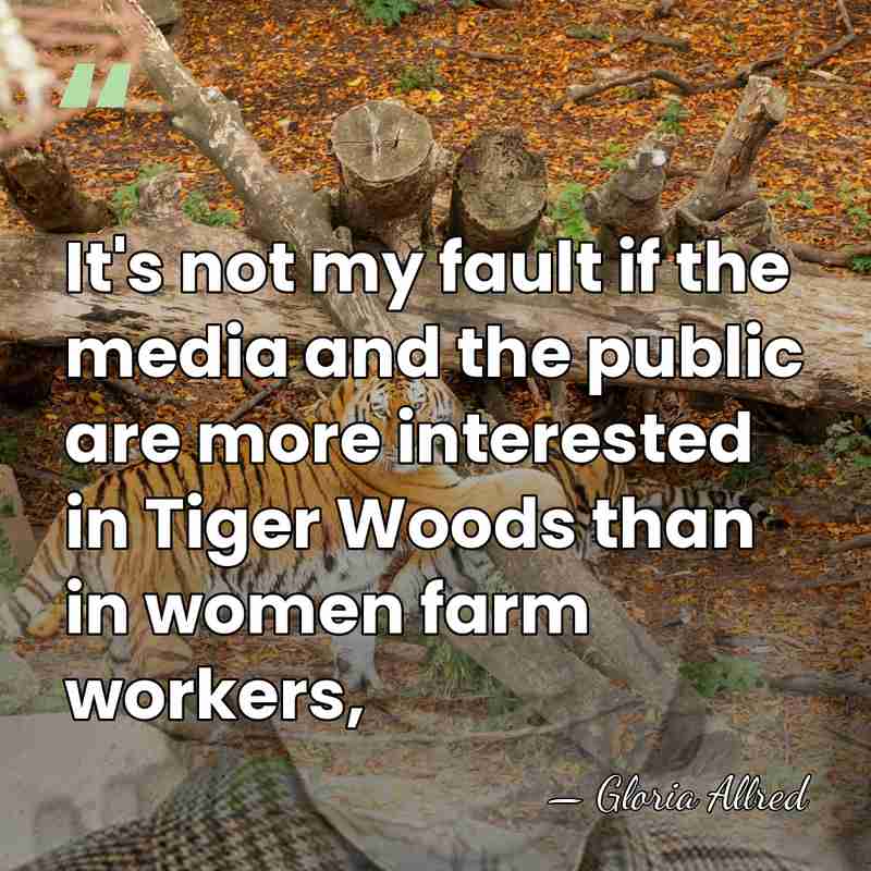 It's not my fault if the media and the public are more&hellip; - Gloria Allred
