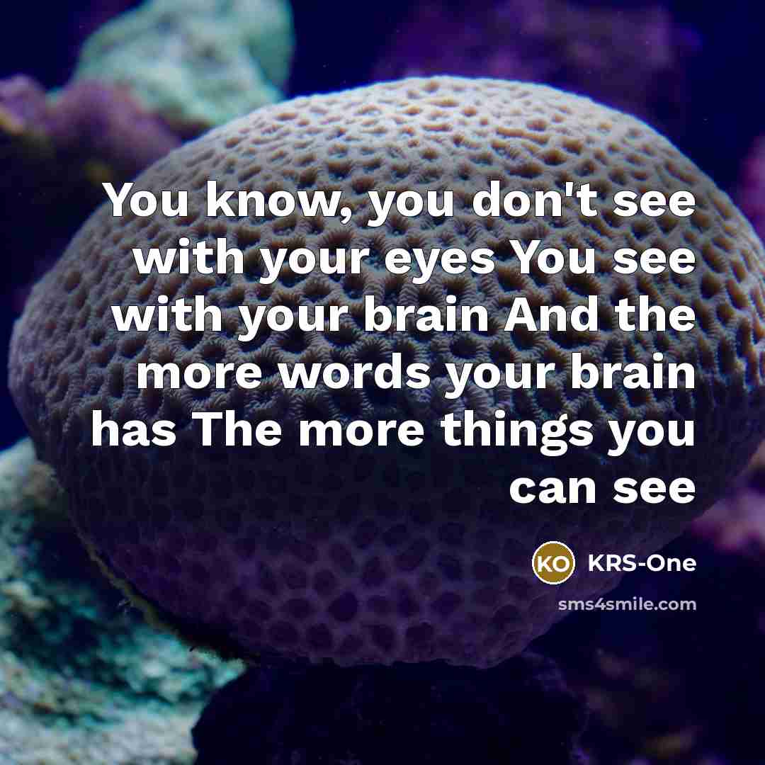 “You know, you don't see with your eyes You see…” quote by KRS-One