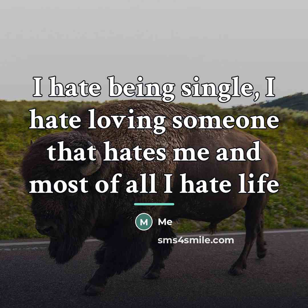 “I hate being single, I hate loving someone that hates…” quote by Me