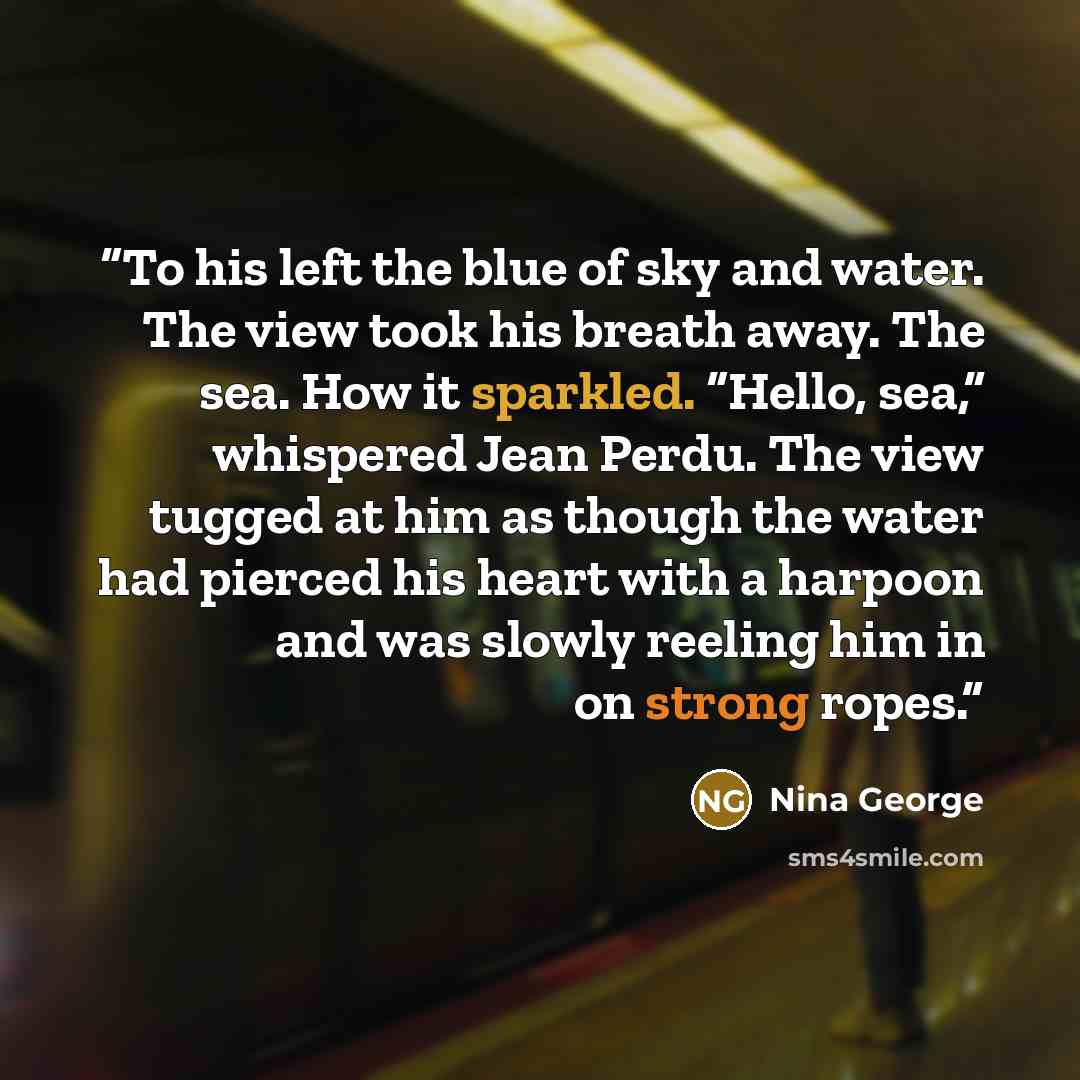 “To his left the blue of sky and water. The view took his breath away. The sea. How it sparkled. “Hello, sea,” whispered Jean Perdu. The view tugged at him as though the water had pierced his heart with a harpoon and was slowly reeling him in on strong ropes.” quote by Nina George