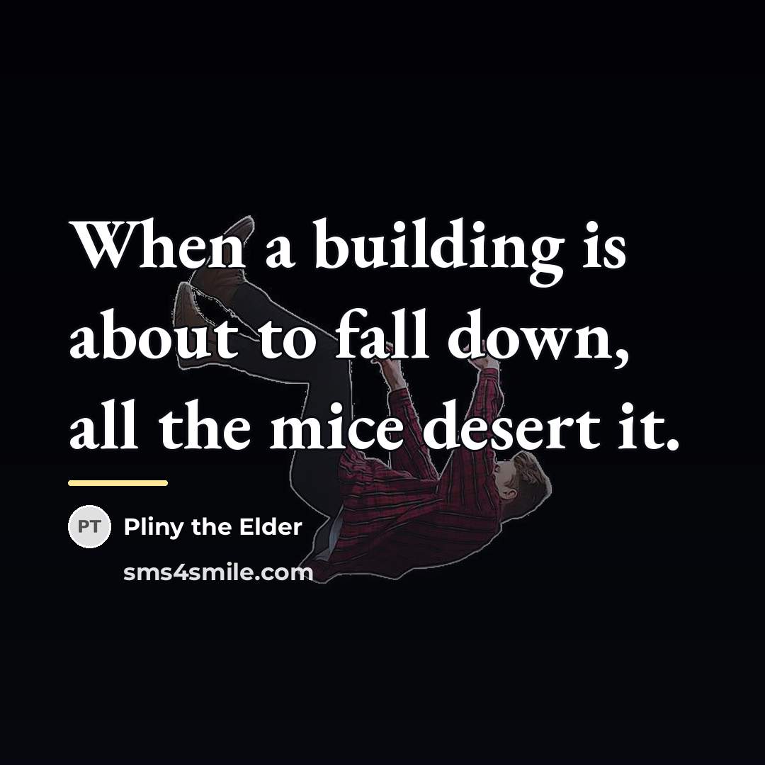 “When a building is about to fall down, all the…” quote by Pliny the Elder