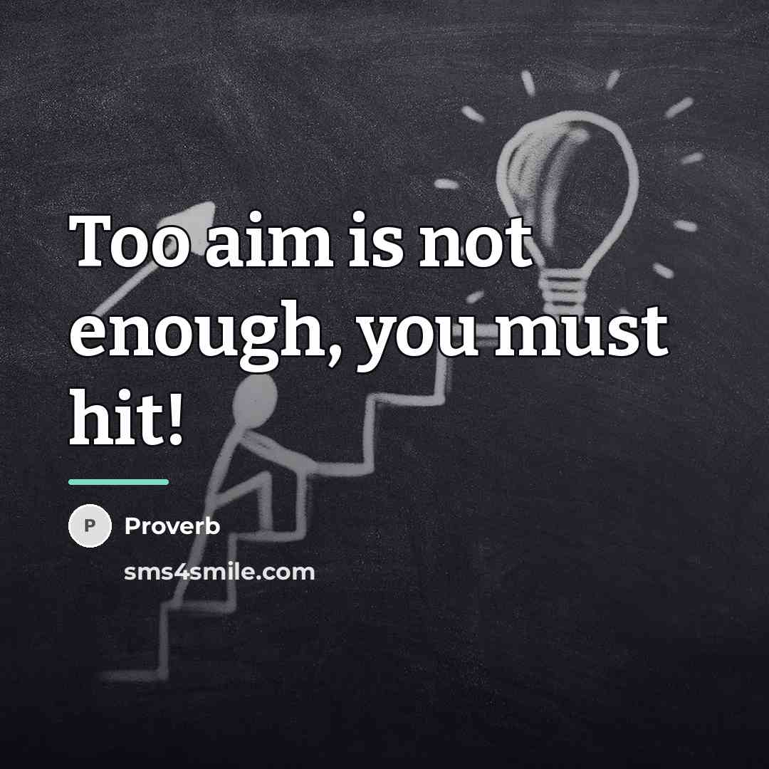 “Too aim is not enough, you must hit!…” quote by Proverb