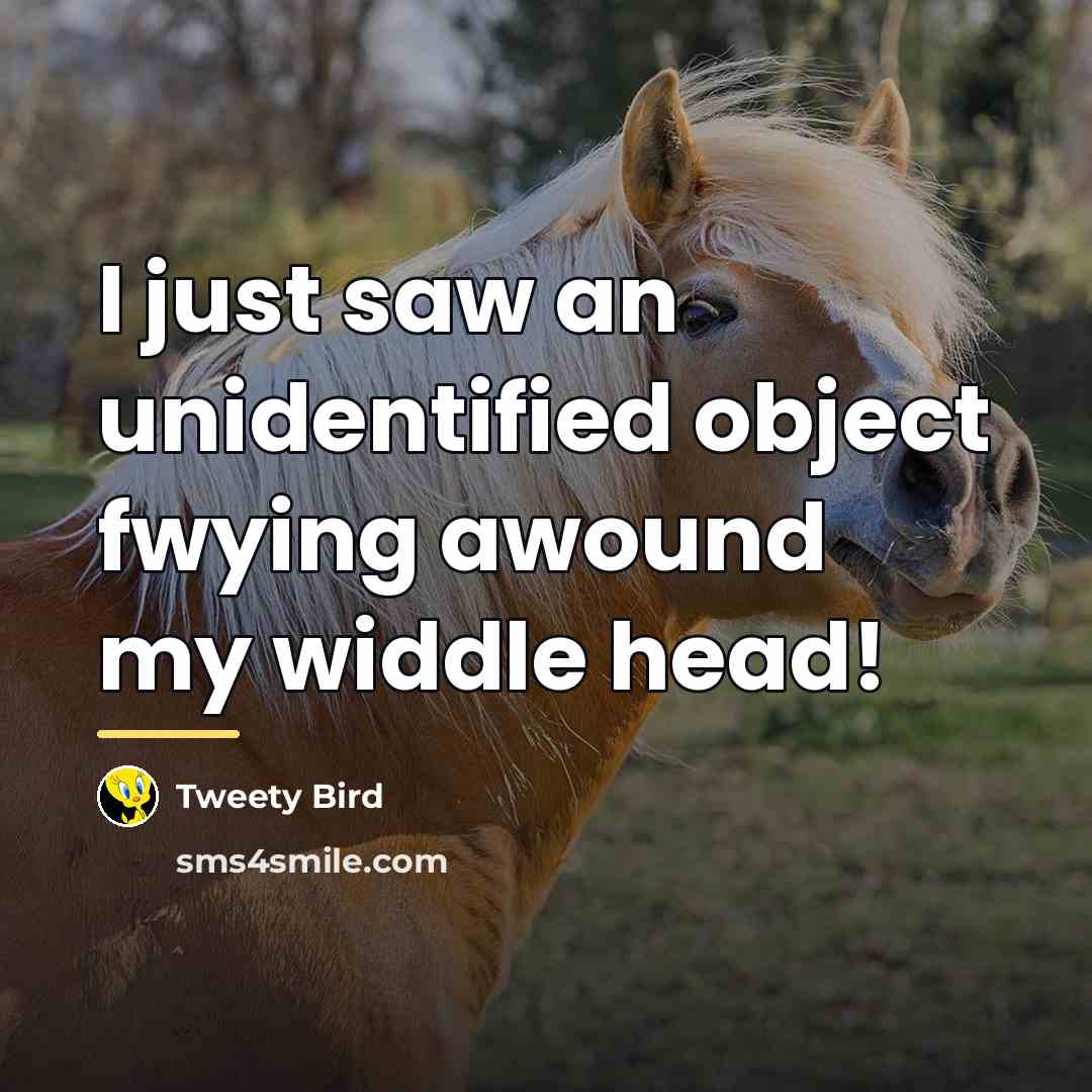 “I just saw an unidentified object fwying awound my widdle…” quote by Tweety Bird