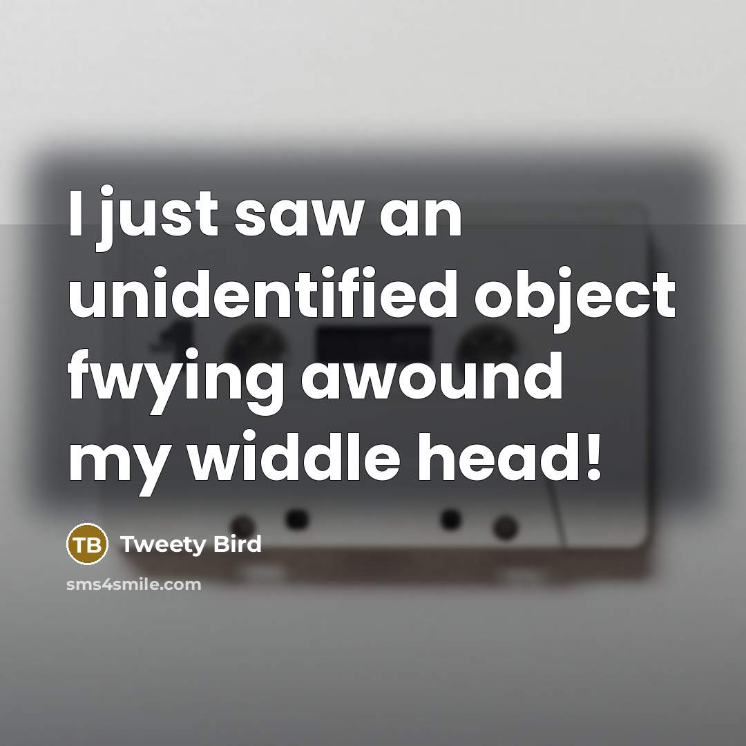 “I just saw an unidentified object fwying awound my widdle head!” quote by Tweety Bird