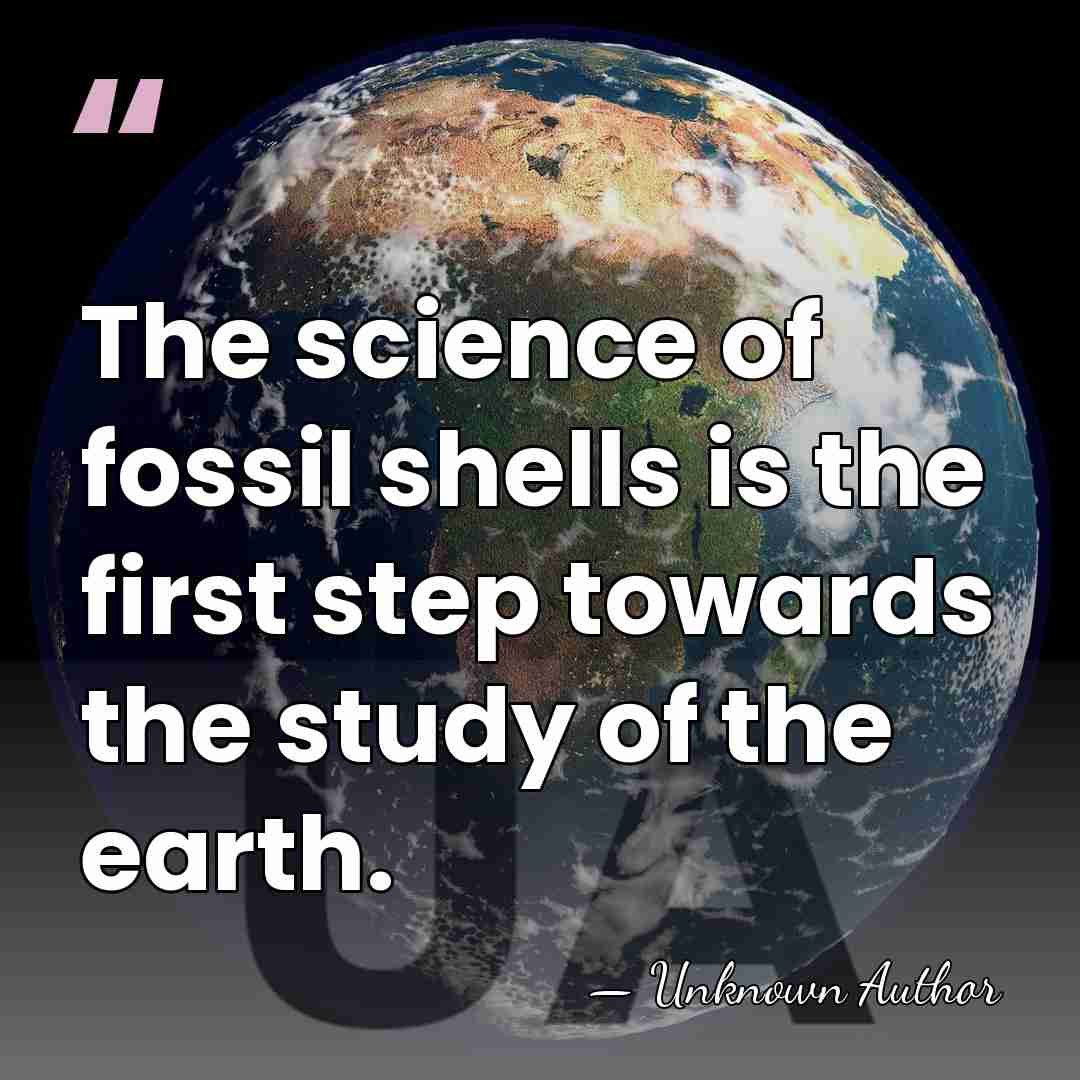 The science of fossil shells is the first step towards the study&hellip; - Unknown Author