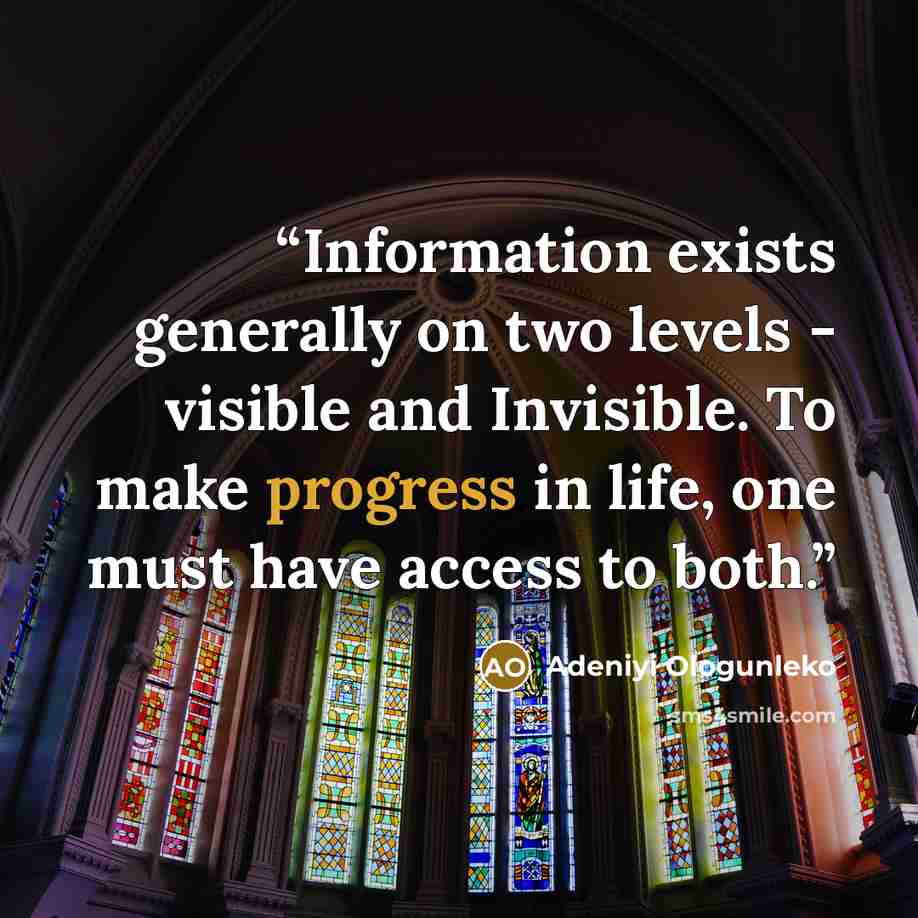 “Information exists generally on two levels - visible and Invisible. To make progress in life, one must have access to both.” quote by Adeniyi Ologunleko