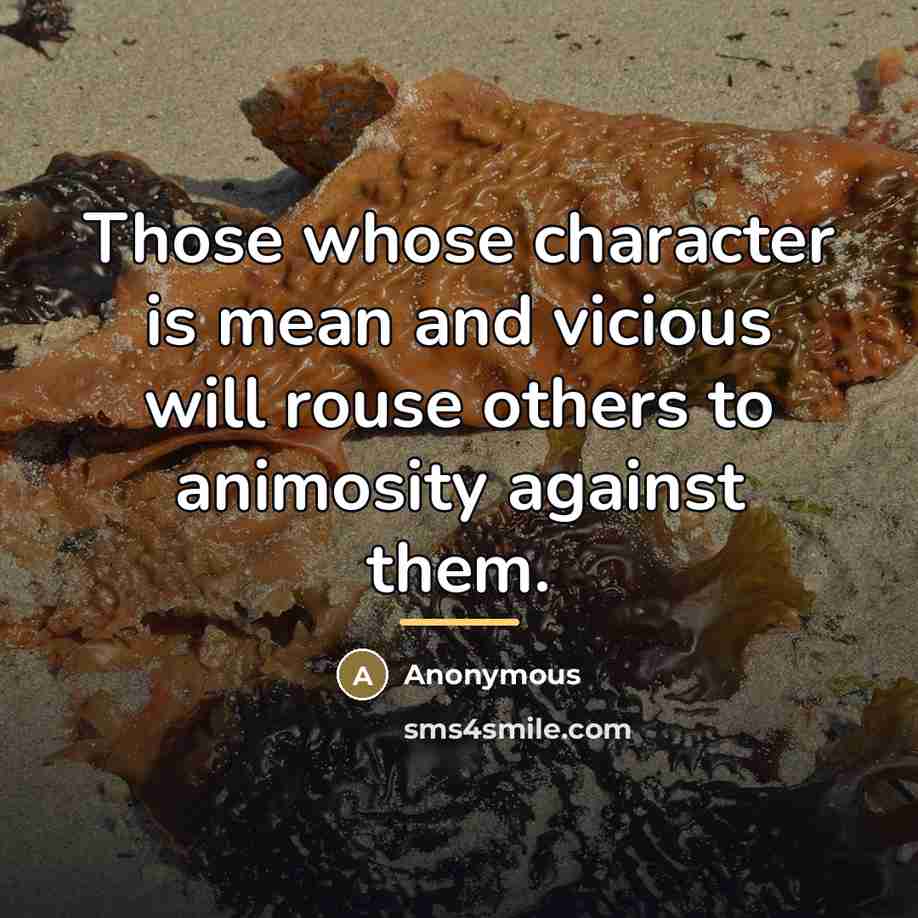 “Those whose character is mean and vicious will rouse others…” quote by Anonymous