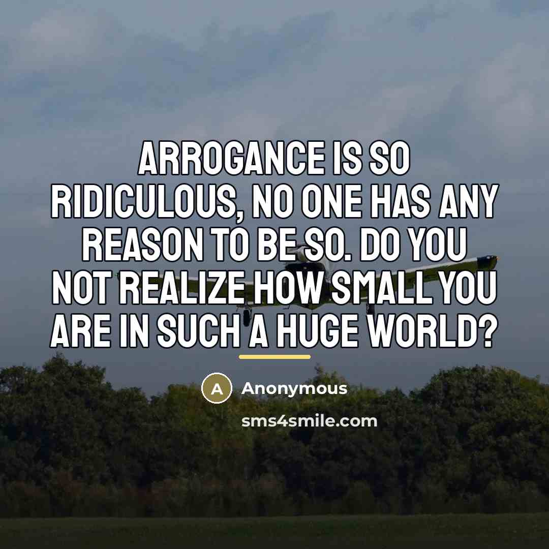 “Arrogance is so ridiculous, no one has any reason to…” quote by Anonymous