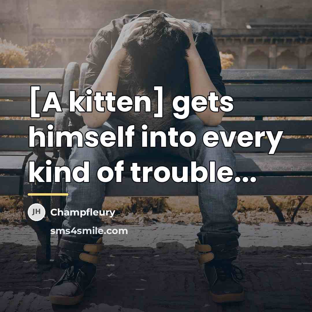 “[A kitten] gets himself into every kind of trouble...…” quote by Champfleury
