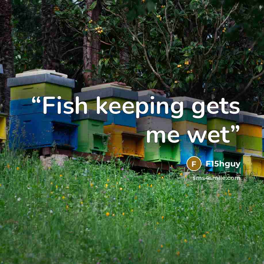 “Fish keeping gets me wet” quote by F15hguy