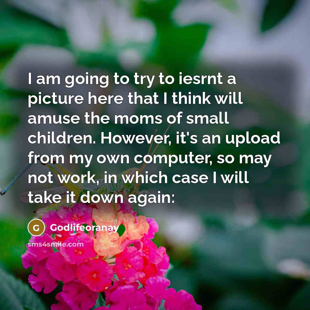 “I am going to try to iesrnt a picture here that I think will amuse the moms of small children. However, it's an upload from my own computer, so may not work, in which case I will take it down again:” quote by Godlifeoranay