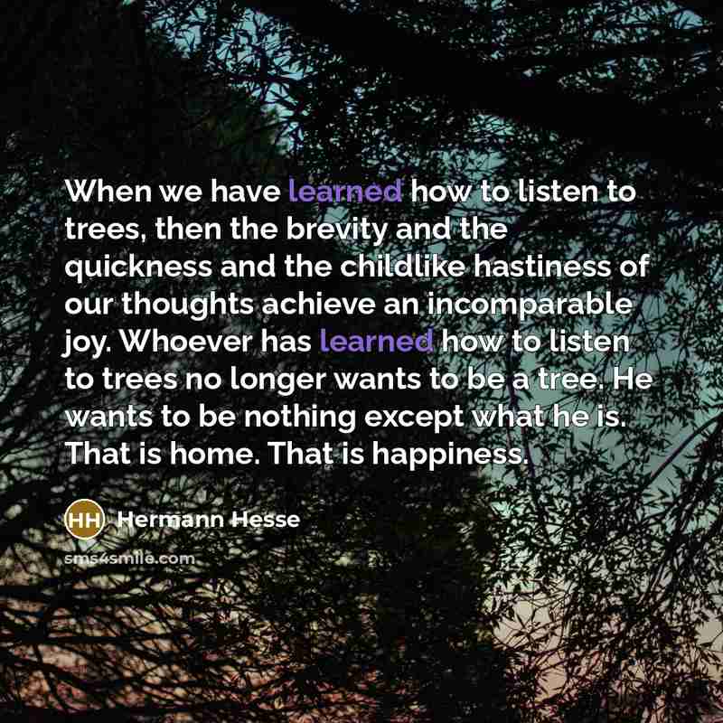 “When we have learned how to listen to trees, then…” quote by Hermann Hesse