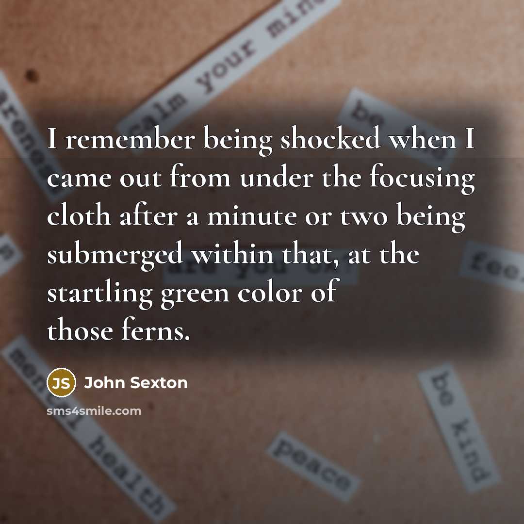 “I remember being shocked when I came out from under…” quote by John Sexton