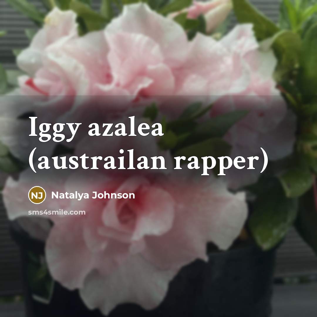 “Iggy azalea (austrailan rapper)…” quote by Natalya Johnson