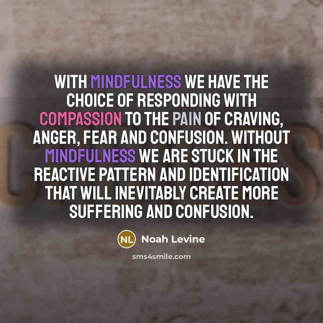“With mindfulness we have the choice of responding with compassion…” quote by Noah Levine