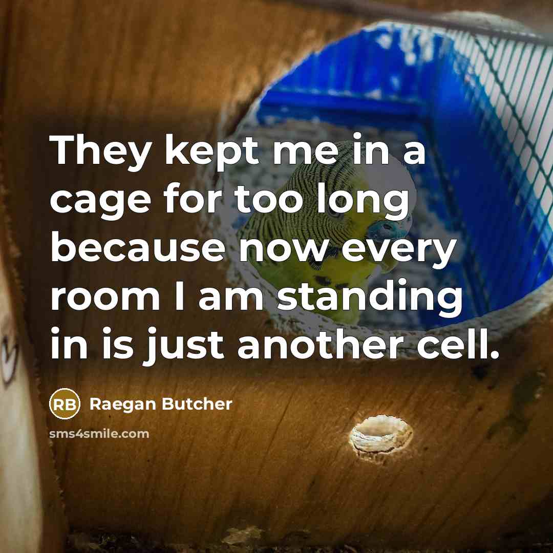 “They kept me in a cage for too long because now every room I am standing in is just another cell.” quote by Raegan Butcher
