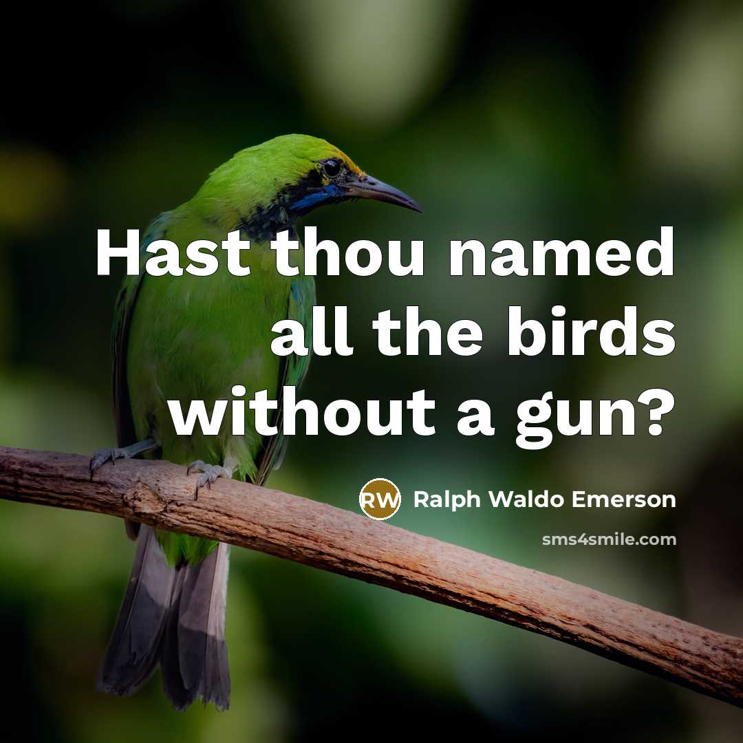 “Hast thou named all the birds without a gun?…” quote by Ralph Waldo Emerson