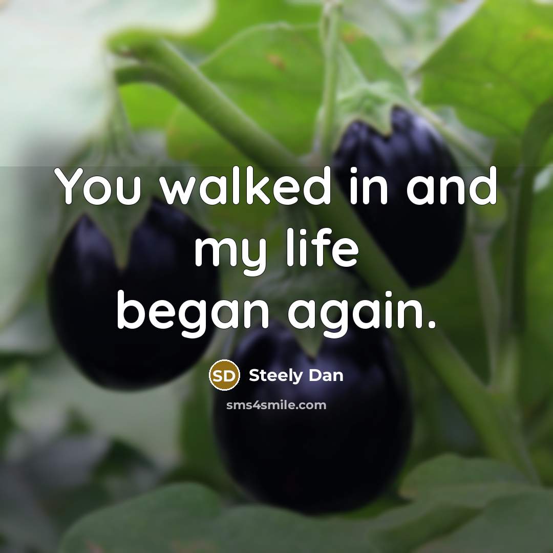 “You walked in and my life began again.…” quote by Steely Dan