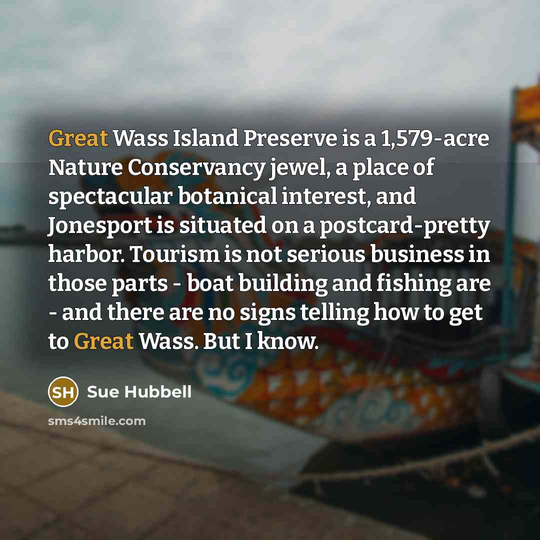 “Great Wass Island Preserve is a 1,579-acre Nature Conservancy jewel,…” quote by Sue Hubbell