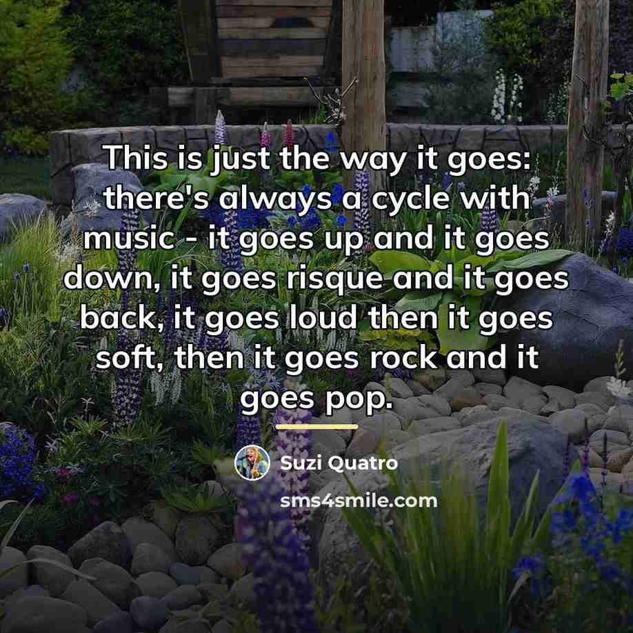 “This is just the way it goes: there's always a…” quote by Suzi Quatro