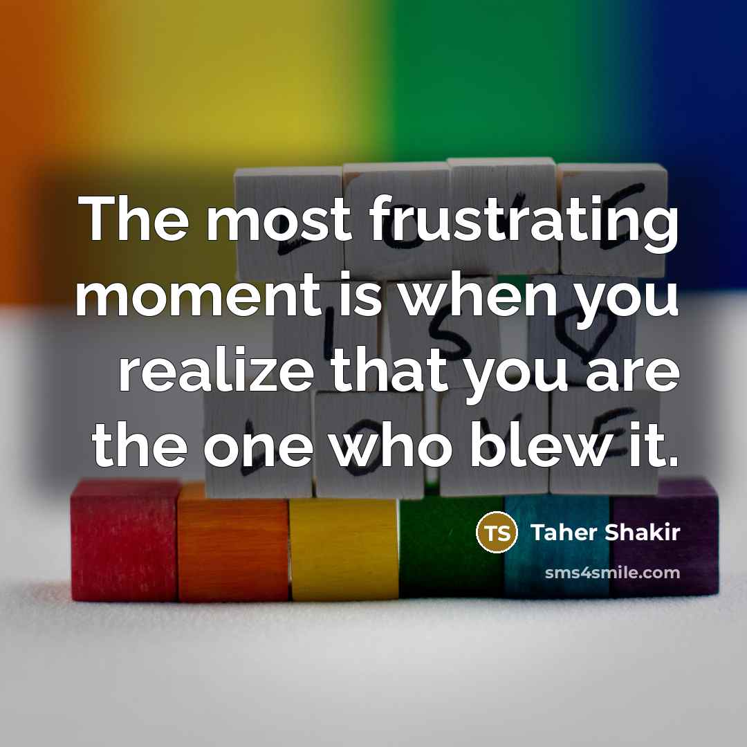 “The most frustrating moment is when you realize that you…” quote by Taher Shakir
