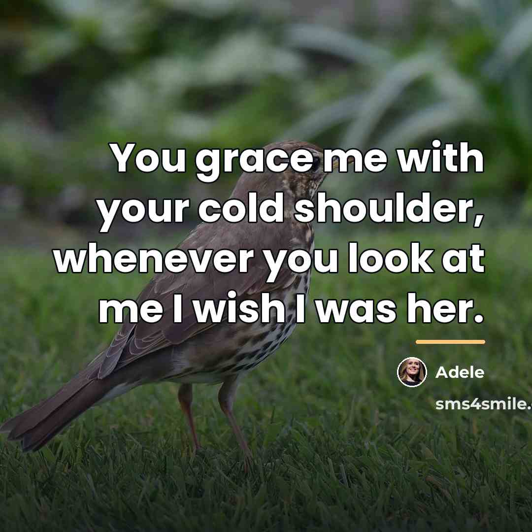 “You grace me with your cold shoulder, whenever you look…” quote by Adele