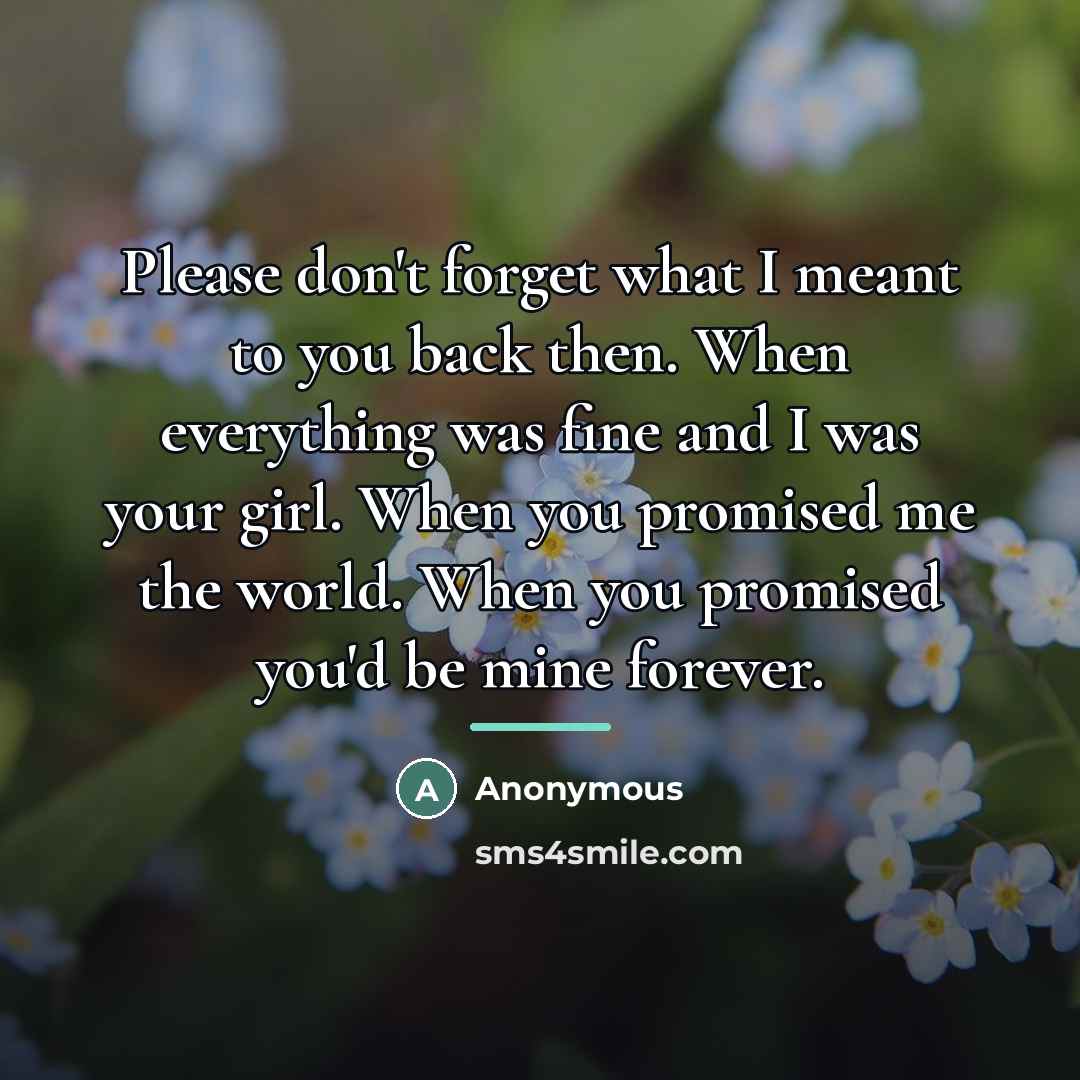 “Please don't forget what I meant to you back then.…” quote by Anonymous