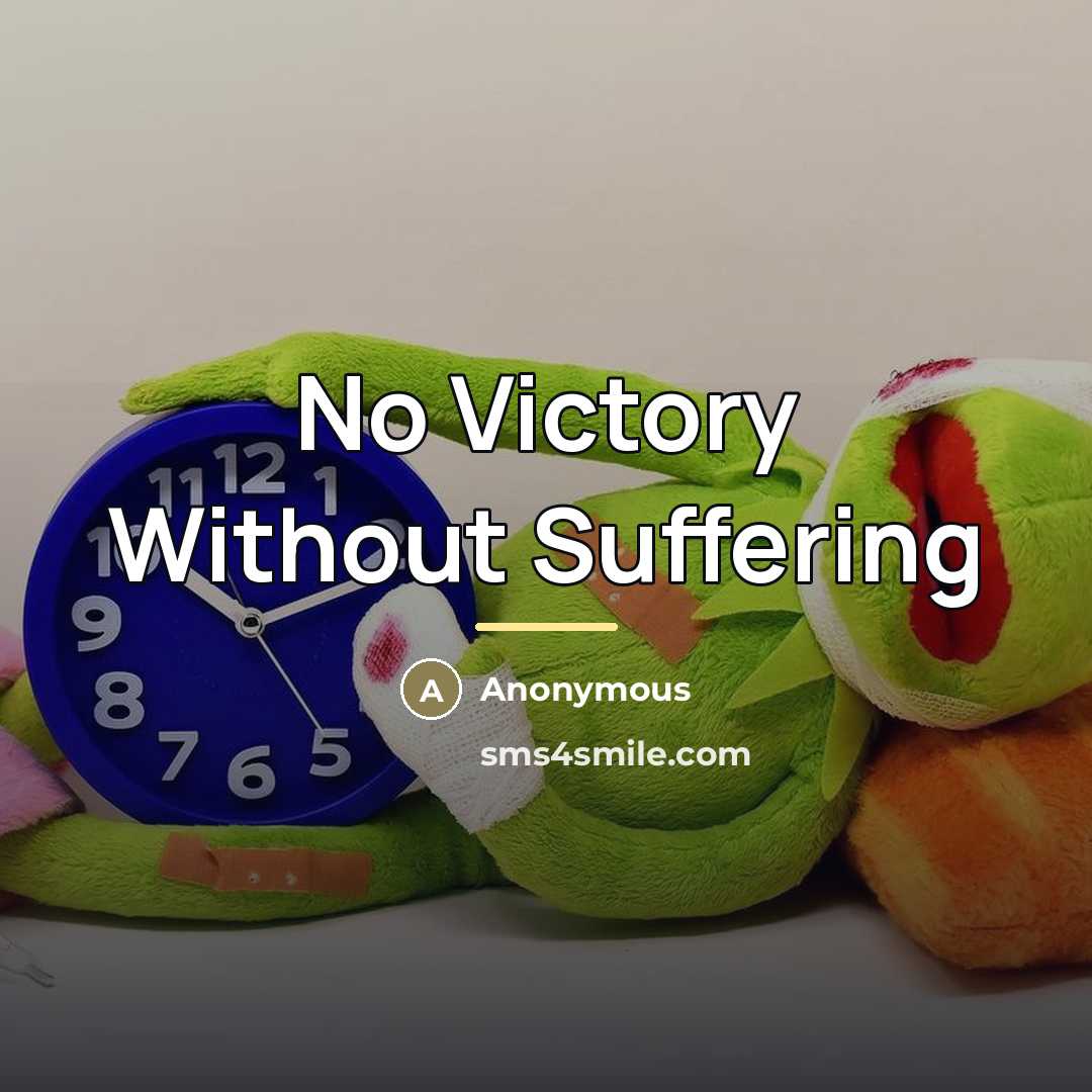 “No Victory Without Suffering…” quote by Anonymous