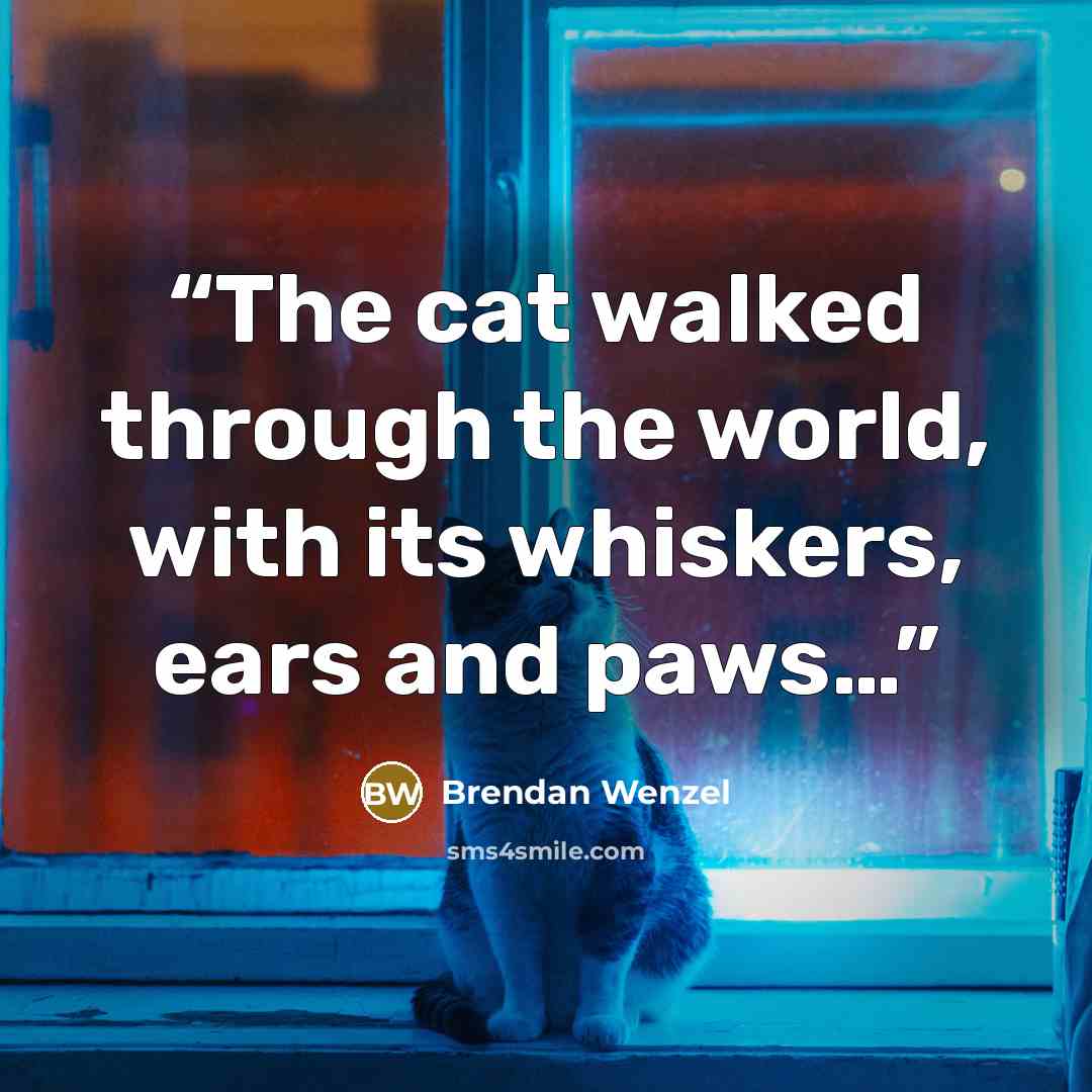 “The cat walked through the world, with its whiskers, ears and paws…” quote by Brendan Wenzel