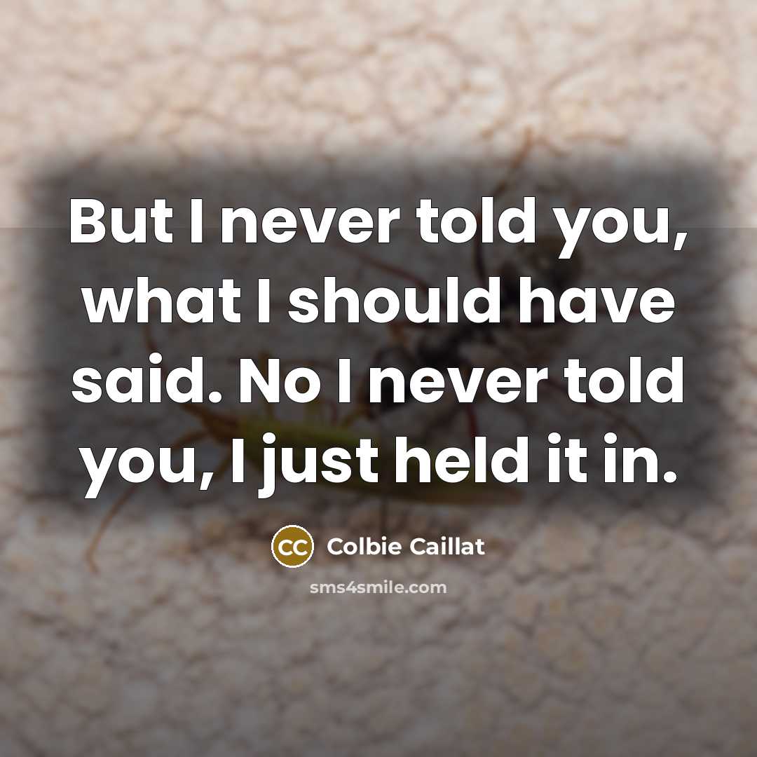“But I never told you, what I should have said. No I never told you, I just held it in.” quote by Colbie Caillat