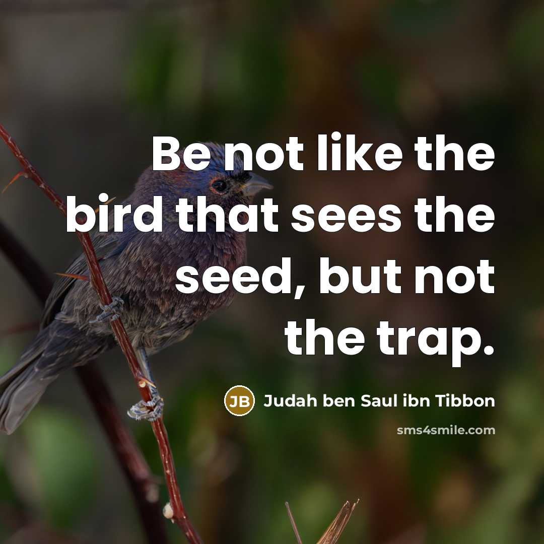 “Be not like the bird that sees the seed, but…” quote by Judah ben Saul ibn Tibbon