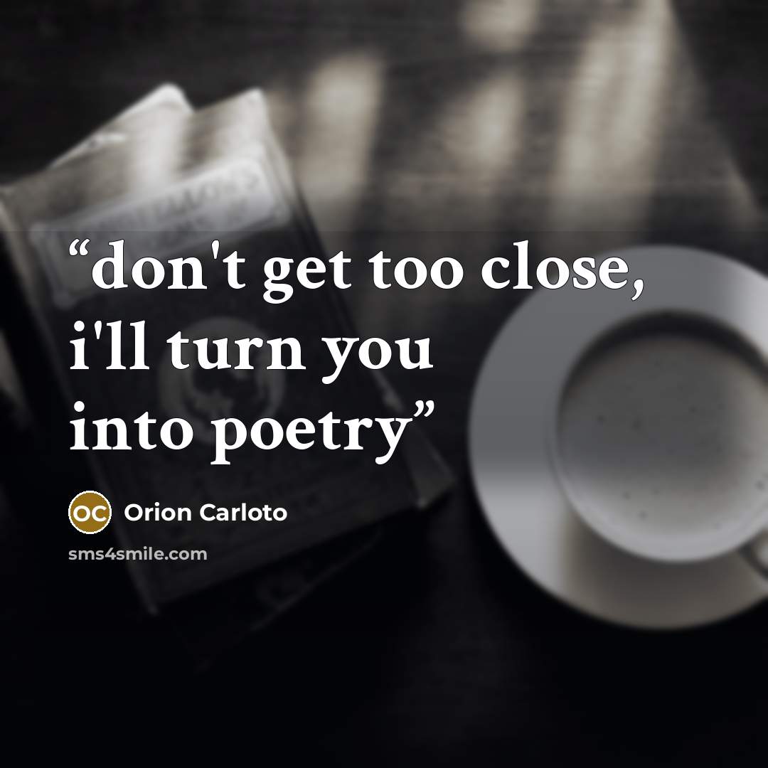 “don't get too close, i'll turn you into poetry” quote by Orion Carloto
