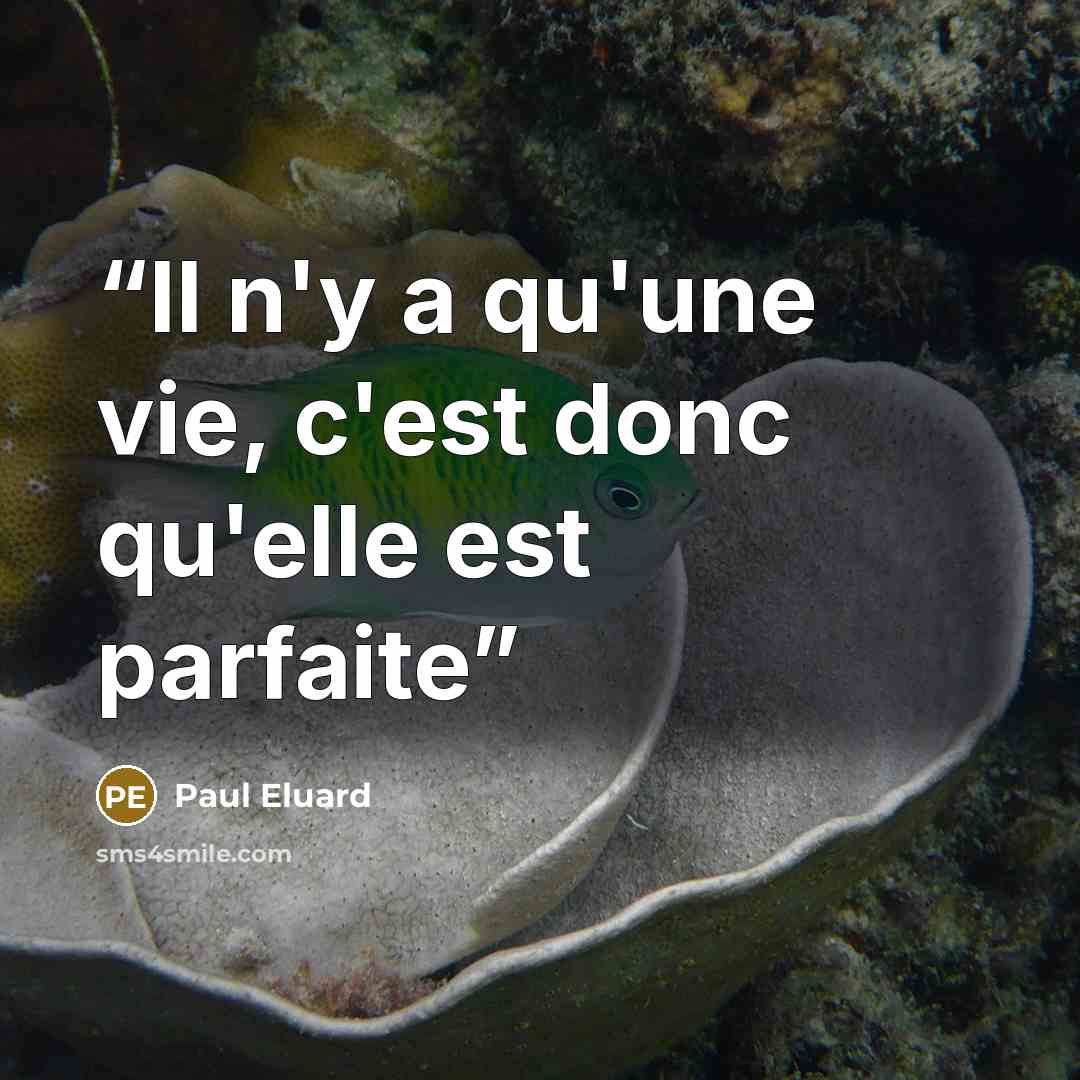 “Il n'y a qu'une vie, c'est donc qu'elle est parfaite” quote by Paul Eluard